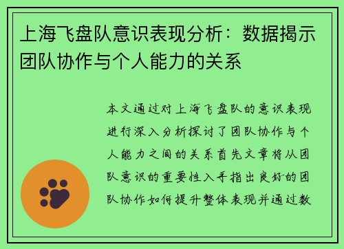 上海飞盘队意识表现分析：数据揭示团队协作与个人能力的关系
